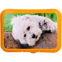 DIA TAB VET (Reiseapotheke) (20X5.5 g)