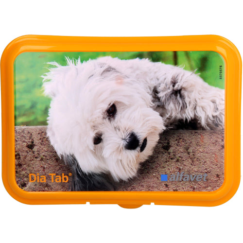 DIA TAB VET (Reiseapotheke) (20X5.5 g)