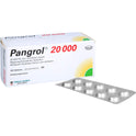Pangrol 20000 (100 Stück)