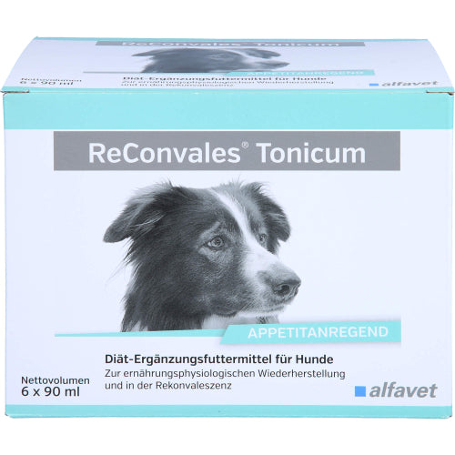 Reconvales Tonicum Hund (6X90 ml)