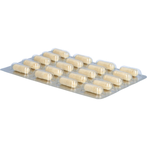 Darmflora Plus Select (80 Stk.)