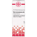 Rhus Tox D 6 (20 ml)