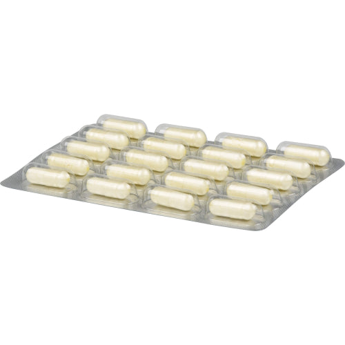 Darmflora Plus URO (40 Stk.)