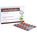 Umckaloabo 20mg Filmtabletten (60 Stk.)