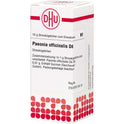 Paeonia Offic. D 6 (10 g)