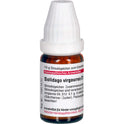 Solidago Virga D12 (10 g)