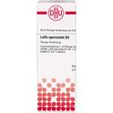 Luffa operculata D 4 (20 ml)