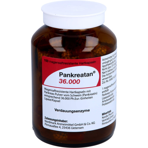 Pankreatan 36000 (100 stk.ück)