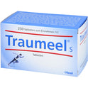 Traumeel S (250 St.)