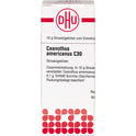 Ceanothus Americanus C30 (10 g)