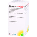 Pangrol 40000 (100 stk.ück)