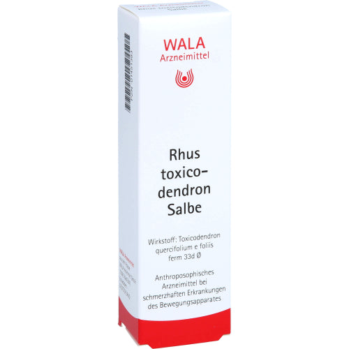Rhus Toxicodendron Salbe (30 g)
