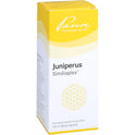 Juniperus Similiaplex (100 ml)