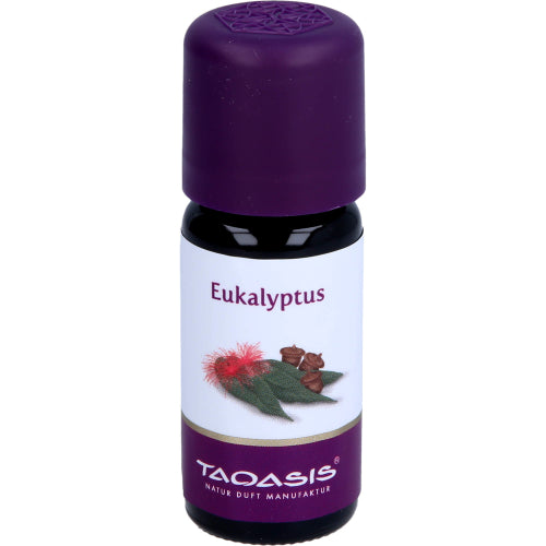 Eukalyptusöl (10 ml)