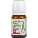Rhus Tox D6 DHU Rheum Schm (80 St.)