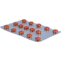 Umckaloabo 20 mg Filmtabletten (30 Stk.)