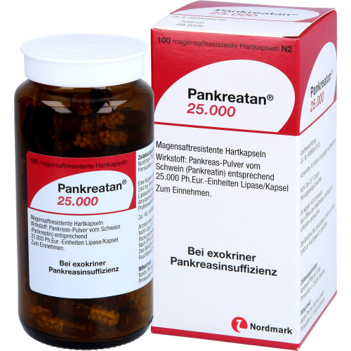 Pankreatan 25000 (100 Stück)
