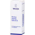 Arnica Planta Tota D 6 (50 ml)