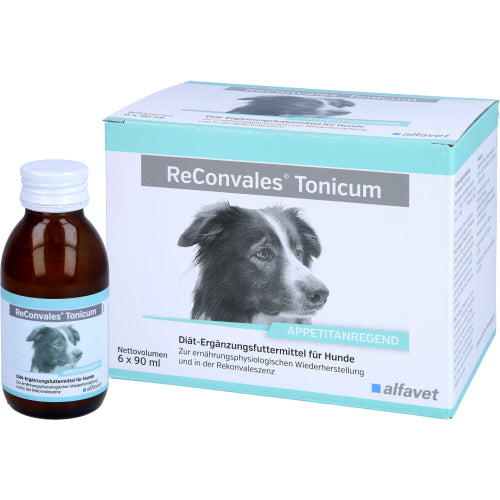 Reconvales Tonicum Hund (6X90 ml)