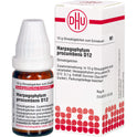 Harpagophytum Proc D12 (10 g)