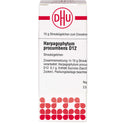 Harpagophytum Proc D12 (10 g)