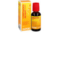 Lymphaden Hevert Complex (50 ml)