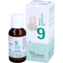 Biochemie 9 Natri Phosp D6 (15 g)