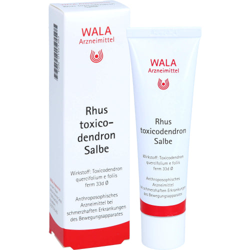 Rhus Toxicodendron Salbe (30 g)