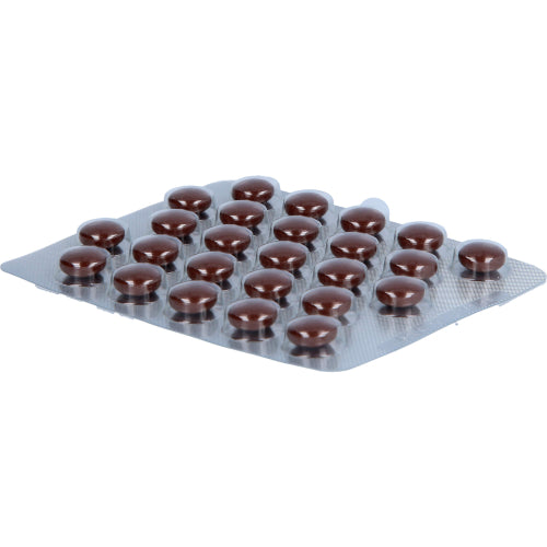 Myrrhinil Intest (100 St.)