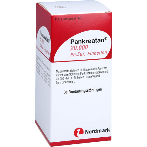 Pankreatan 20.000 Ph.Eur.-Einheiten (100 Stk.)