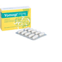 Yomogi 250 mg (20 Stück)