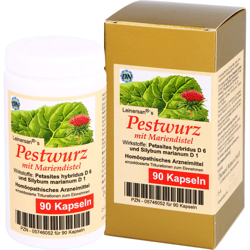 Pestwurz mit milchigem Ausfluss (90 Stk.)