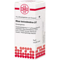 Rhus Tox D12 (10 g)