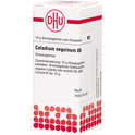 Caladium Seguin D 6 (10 g)
