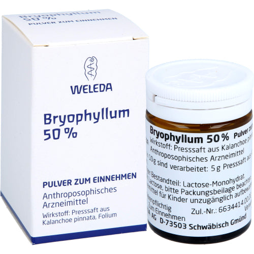 Bryophyllum 50 % (20 g)