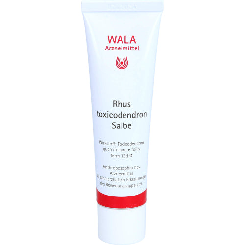 Rhus Toxicodendron Salbe (30 g)