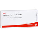 Helleborus NIG E PL TO D 3 (10X1 ml)