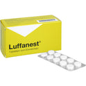 Luffanest (100 Stk.)