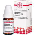 Collinsonia Canadensis C30 (10 g)