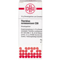 Theridion Curassavic C30 (10 g)