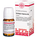 Solidago Virga D 6 (80 St.)