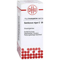 Sambucus Nigra C30 (10 g)