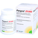 Pangrol 25000 (100 Stück)