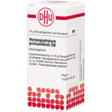 Harpagophytum Proc D 6 (10 g)