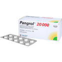 Pangrol 20000 (100 Stück)