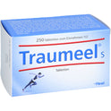 Traumeel S (250 St.)