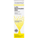 Luffa Nasenspray DHU (20 ml)