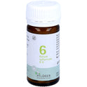 Biochemie 6 KAL Schwefel D 6 (100 Stk.)