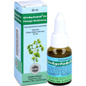 Ginkgobakehl D 4 (30 ml)