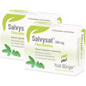 Salvysat 300 mg filmovertrukne tabletter (2X30 stk.ück)